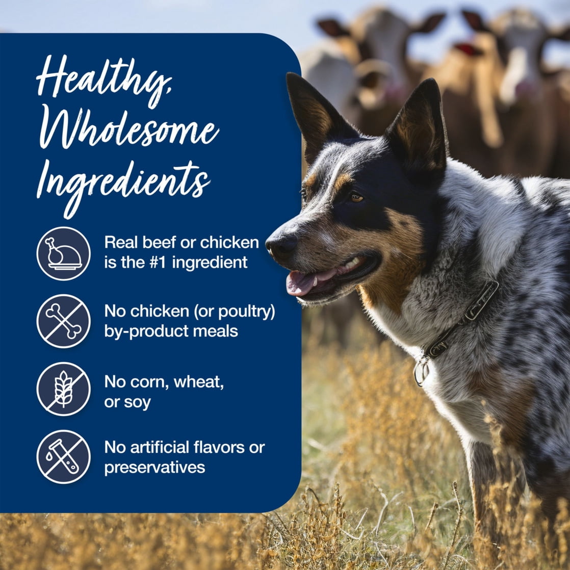 (3 pack) Blue Buffalo Blue's Stew Natural Wet Dog Food, Hearty Beef & Country Chicken Variety Pack