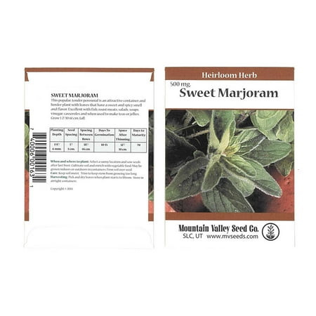 Annual Herb - Sweet Marjoram Herb Garden Seeds - 500 mg Packet - Non-GMO, Heirloom Culinary Herbal Gardening Seeds - Annual