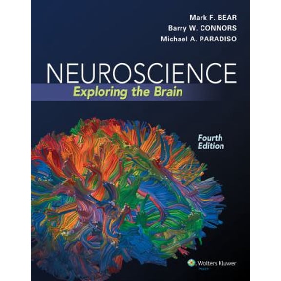 Pre-Owned Neuroscience: Exploring the Brain: Exploring the Brain (Hardcover) by Mark Bear, Barry Connors, Michael A Paradiso