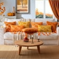 thumbnail image 4 of Fall&nbsp;Pumpkin Orange Throw Pillow Covers 18x18 Inch,&nbsp;Pack of 2 Decorative Autumn Pillows Cases for&nbsp;Halloween Holiday Decor Couch Sofa&nbsp;Living Room Decorations, 4 of 6