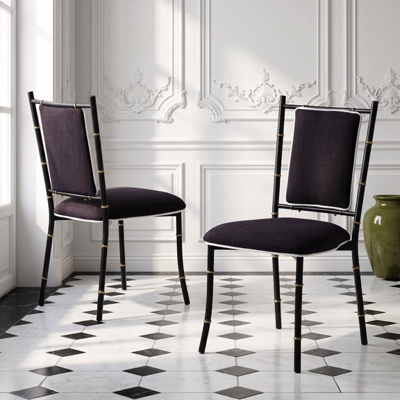 BIANCHINI Mid-Century Modern Accent Dining Chairs Set of 2, Black Metal with Gold Accents for Kitchen and Dining Room