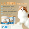thumbnail image 3 of Oimmal L-Lysine Powder for Cats, Cat L-Lysine Supplement Powder for Sneezing and Runny Nose, Cat Cold, Cat Immune Support, Eye Function & Respiratory Health 120g (Salmon Flavor), 3 of 12