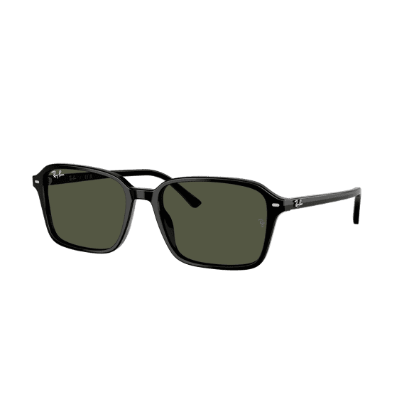 RAY-BAN RB2231 RAIMOND Square Shape Sunglasses Polished Black Frame | G-15 Green Lens 58mm