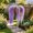 Purple, variant on 5 Pack Plastic Artificial Weeping Willow Branches, 37.4" Green Faux Rattan Leaf Vines, Hanging Fake Greenery for Indoor Outdoor Flower Basket Wall Ceiling Arch Decor - Purple