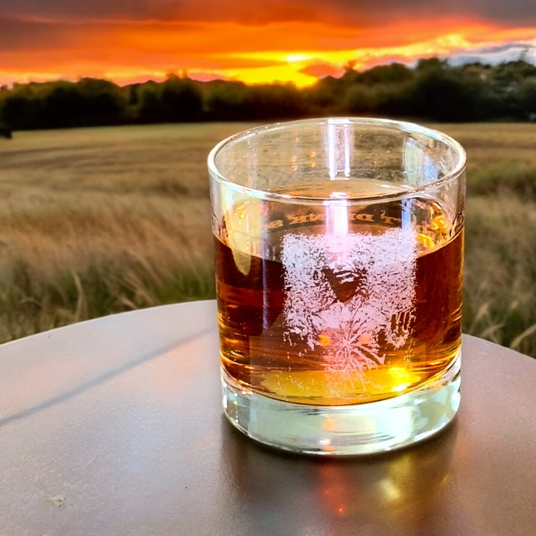 Rocks Glass - Dont Drink Solo - Double Old Fashioned Rocks Glass - Dont Drink Solo - Double Old Fashioned