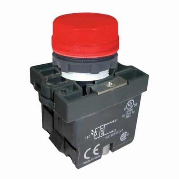 Dayton Pilot Light, LED, 22mm, 24VAC/DC, RD, Plastic 30G210