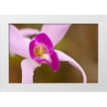 thumbnail image 3 of Dana Styber 18x13 White Modern Wood Framed Wall Art Titled - Purple Glory, 3 of 5