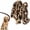 Silver Thick iron chain, variant on Big Chain Leash for Small Dog Funny, 6.56FT Lightweight Iron Paw Chain Leash, Fake Chain Dog Lead for Small Pets Cats Puppies Guidance Rope