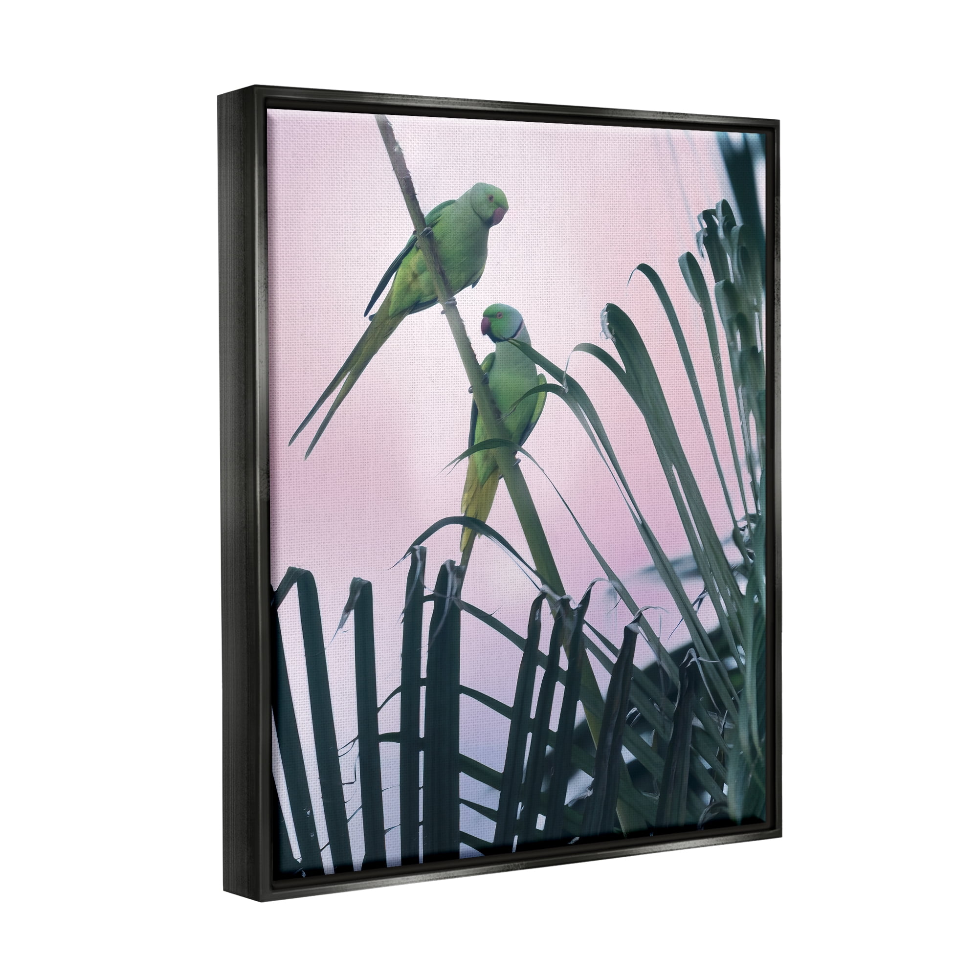 Stupell Industries Tropical Parakeets Pink Sky Animals & Insects Photography Black Floater Framed Art Print Wall Art
