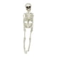 thumbnail image 1 of Decoración de Halloween, decoraciones para exteriores, decoración de esqueleto de Halloween, decoración de esqueleto colgante de cuerpo entero con articulaciones móviles para decoración de cementerio, 1 of 4