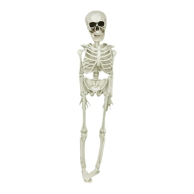 Halloween Skeletons Life Size,Realistic Human Skeleton Full Body,Movable Posable Joints Skeleton,Creepy Halloween Plastic Skeleton for Graveyard Decorations,Haunted House Props Indoor/Outdoor Decor