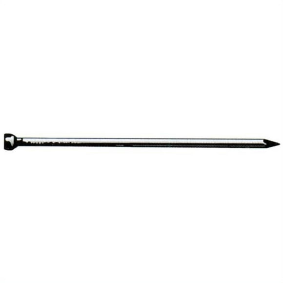 Tree Island 234142404 8D 2.5 in. Bright Finish Nail