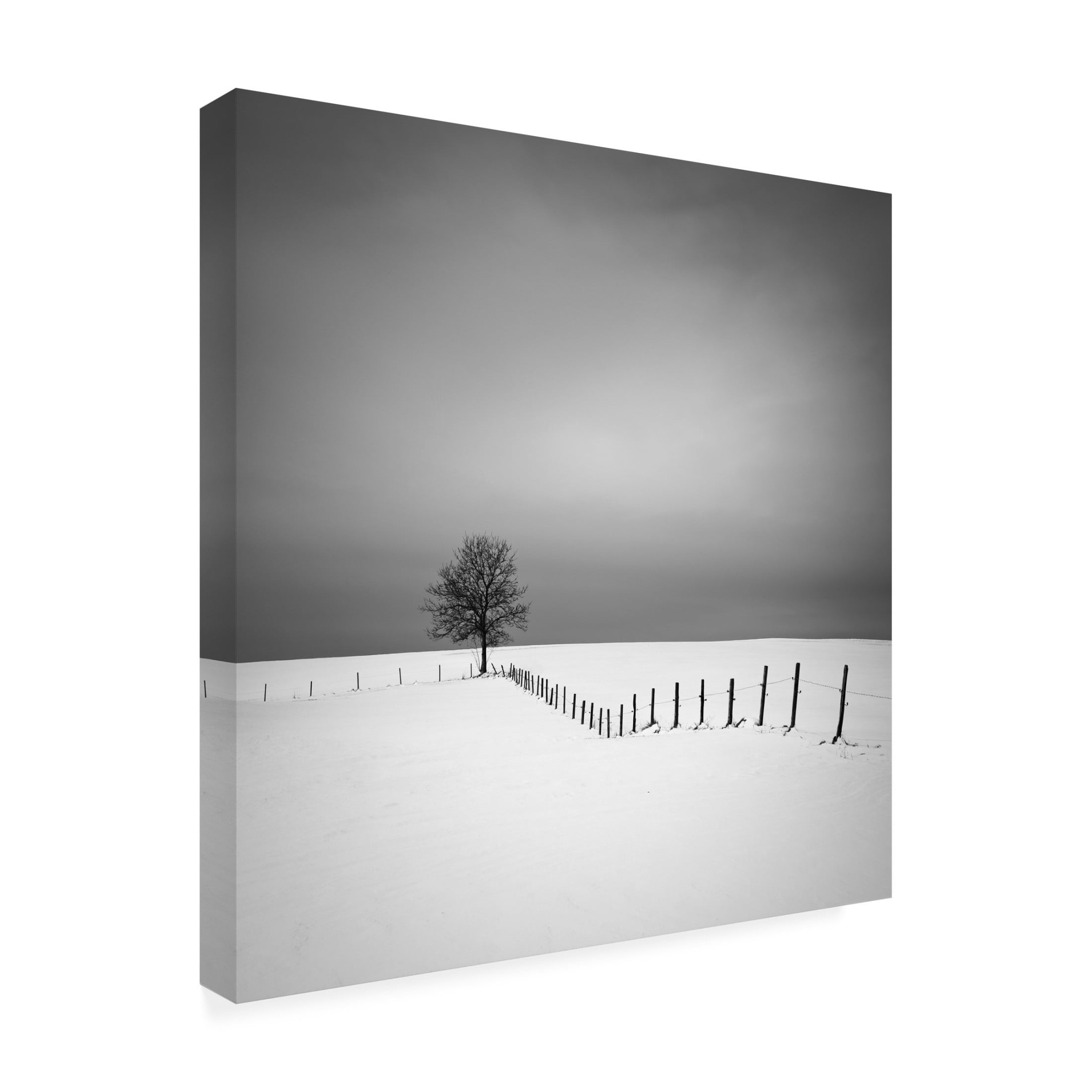 Canvas Wall Art - Alexej Schulz 'Alignment' Wall Art for Living Room, Bedroom, or Office Décor by Trademark Fine Art - 35 x 35 Inches