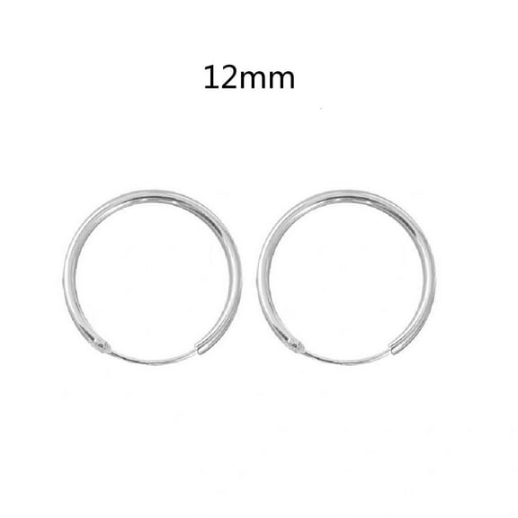 WE-POLUJ Simple Earrings 925 Sterling Silver Round Sleepers Earrings Hinged Hoop Earrings