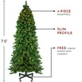 thumbnail image 5 of Northlight 7.5' Prelit Artificial Christmas Tree LED Olympia Pine - Warm White Lights, 5 of 6