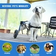 thumbnail image 2 of Silla de ruedas para mascotas Virbraroo ligera y ajustable para perros, 2 of 9