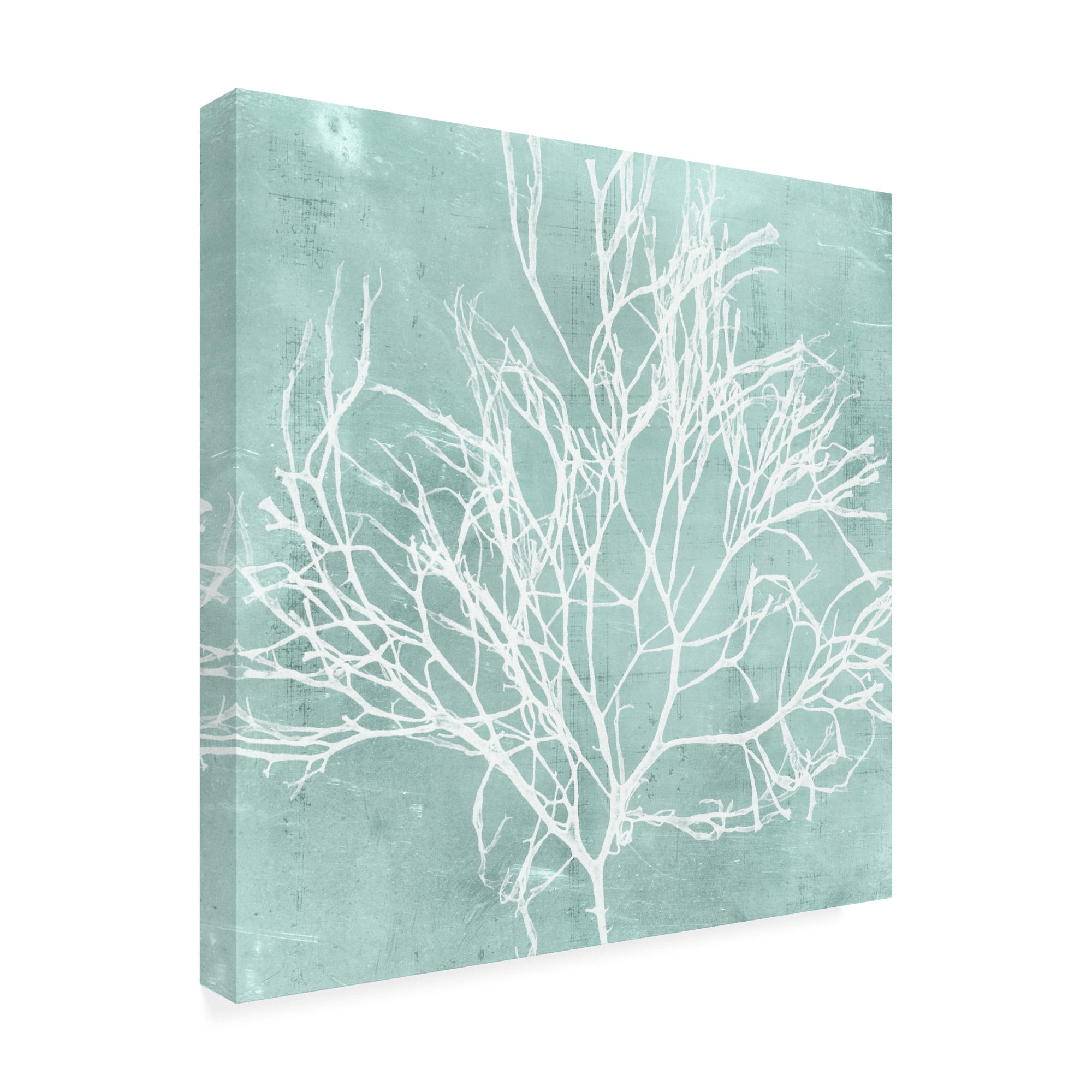 Trademark Fine Art 'Seaweed on Aqua II' Canvas Art by Vision Studio