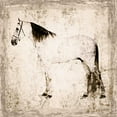 thumbnail image 3 of Orlov, Irena 20x20 Black Modern Framed Museum Art Print Titled - White Horse II, 3 of 5
