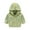 Green, variant on FAOWME Kids Toddler Baby Boys Fall Dinosaur Hooded Coat Jacket Sweatshirt Clothes Green 4-5 Years