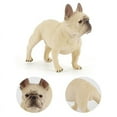 thumbnail image 4 of BNNG French Bulldog Puppy Standing PVC Figurine Statue, Realistic Look Statue Black White French Bulldog Puppy Dog Home Decorative Resin Figurine,Home Decor & Collectible Gift,3", 4 of 5