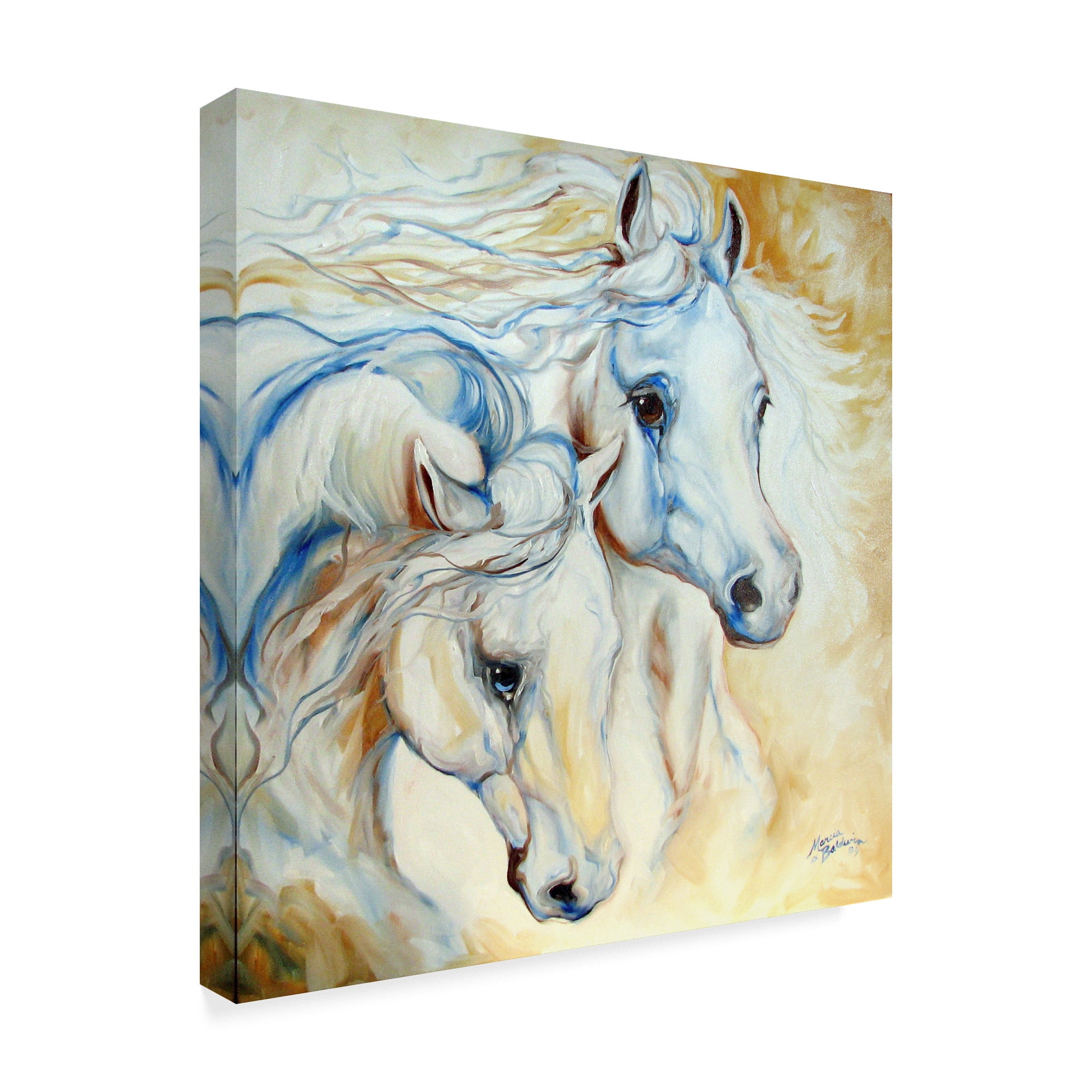 Trademark Fine Art 'Arabian Essence' Canvas Art by Marcia Baldwin