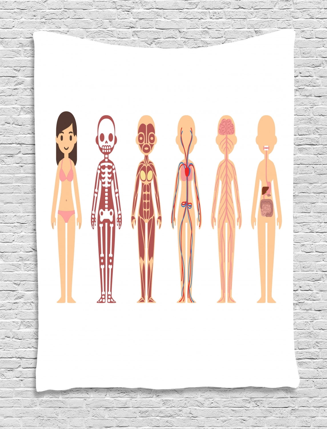 Biology Tapestry, Female Body Anatomy Chart Skeletal Muscular 