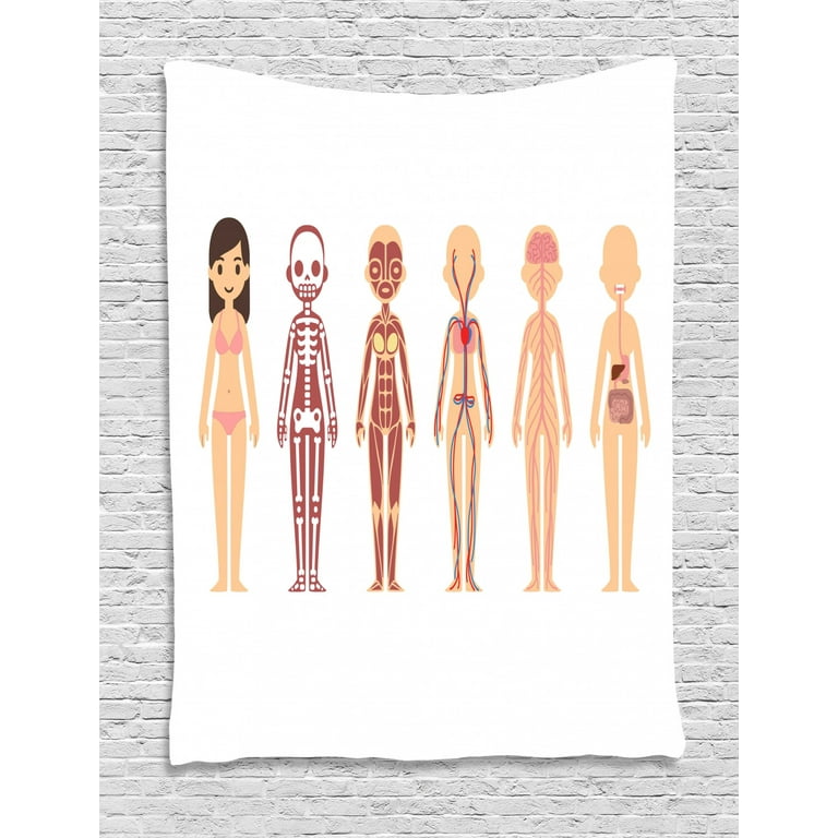 Biology Tapestry Female Body Anatomy Chart Skeletal Muscular Circulatory Nervous Digestive Systems Wall Hanging for Bedroom Living Room Dorm Decor