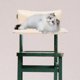 thumbnail image 2 of Hamaca colgante para gatos con marco de cama y cerca, desmontable lateralmente, para ventana, 2 of 8