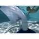 thumbnail image 5 of High Quality Adaptable Silt Bag for Polaris 280 or 480 Robotic Pool Cleaner，2 Pieces--, 5 of 5