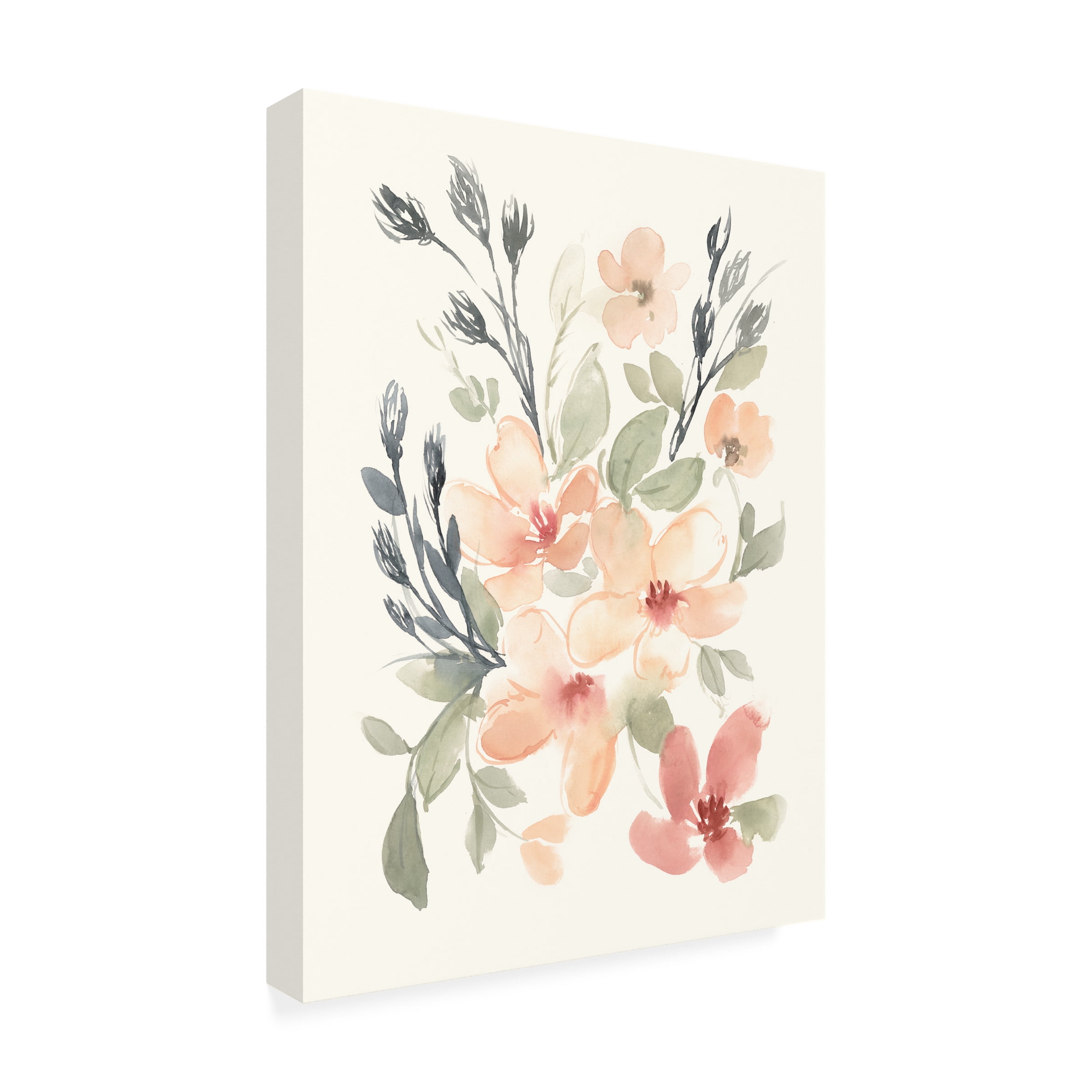 Jennifer Goldberger 'Peachy Pink Blooms I' Canvas Art