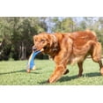thumbnail image 2 of Chuckit! Canvas Flying Squirrel Dog Toy, Medium for Dogs 20-60 lb, Pack of 1, Assorted, 2 of 6