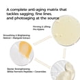 thumbnail image 7 of WNP Retinol Anti-Aging Face Cream with Pro-Xylane, Marigold & Ceramides, 1.7 fl oz, 7 of 7