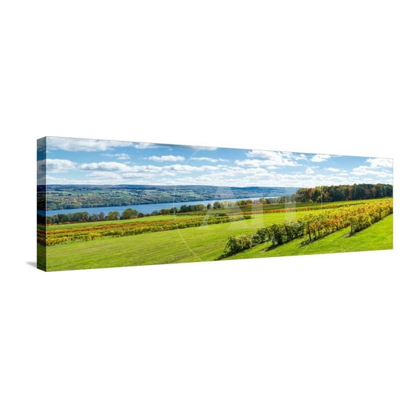 Glenora Vineyard, Seneca Lake, Finger Lakes, New York State, Usa, Scenic Seasons Stretched Canvas Wall Art Sold by Art.Com