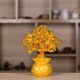 thumbnail image 3 of Árbol de cristal estilo bonsái Feng Shui traer árbol de la, 3 of 9