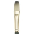 thumbnail image 1 of CEPILLO DIXON TIC/PRINCETON DIXON TIC/PRINCETON BRUSH  PB6200F20, 1 of 1