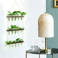 XXXFLOWER Wall Hanging Propagation Station with 15 Glass Tubes Air