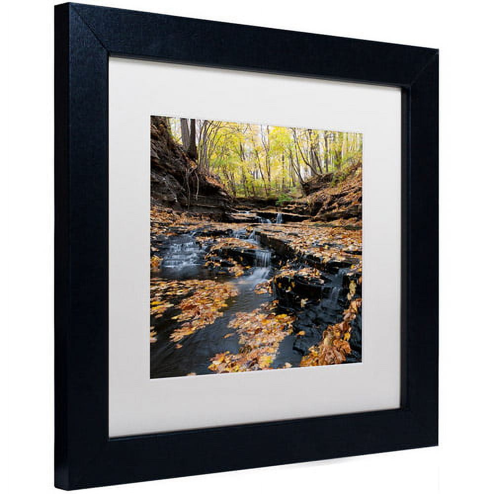 Trademark Fine Art "Lakeview Autumn Falls" Canvas Art by Kurt Shaffer White Matte, Black Frame