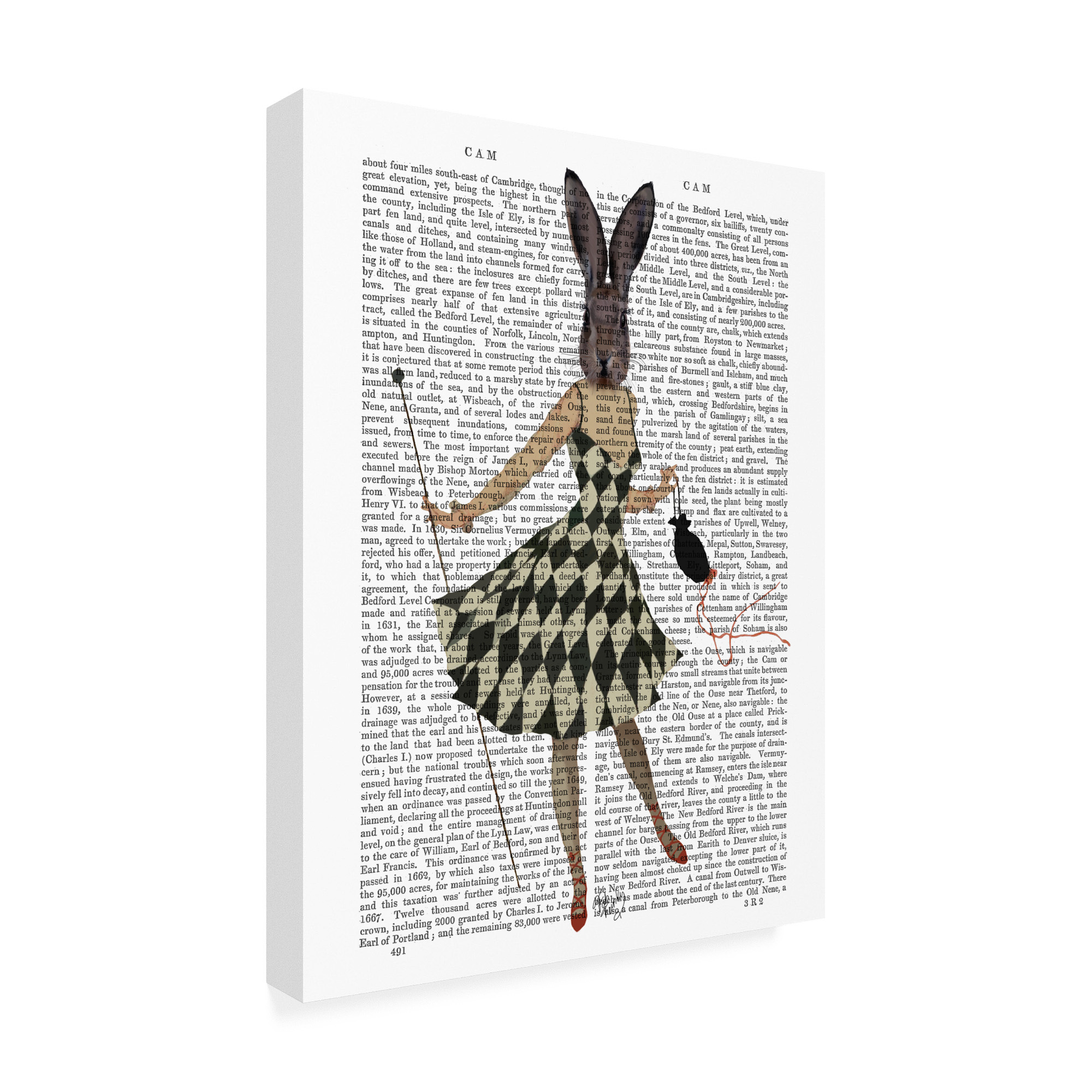 Trademark Fine Art 'Rabbit In Black White Dress' Canvas Art by Fab Funky