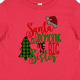 thumbnail image 4 of Inktastic Santa is Promoting Me to Big Sister Green Plaid Tree Girls Baby T-Shirt, 4 of 5
