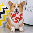 thumbnail image 4 of Reheyre Super Absorbent Cotton Dog Bandana - Fruit Pattern Pet Dog Bib for Dining, 4 of 8