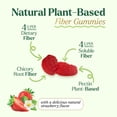 thumbnail image 3 of Prebiotic Fiber Gummies - 4g Dietary Fiber Per Serving - Extra Strength Daily Supplement for Adults - Tasty Strawberry Flavor - Plant Based Digestive and Regularity Support - 60 Gummies, 3 of 9