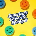 thumbnail image 2 of Scrub Daddy Scour Pads - Scour Daddy - Multi-Surface Scouring Pad, FlexTexture Sponge, Soft in Warm Water, Firm in Cold, Scratch Free, Odor Resistant, Easy to Clean 3ct (Pack of 2), 2 of 9