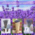 thumbnail image 5 of Fairnull 1 Box Natural Dried Lavender Fadeless Sweet Scent No Watering Wedding Decor Bedside Better Sleeping Flower Arrangement Natural Plants, 5 of 11
