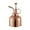 As Shown, variant on WAXIAYU Metal Water Bottle Mist Spray Vintage Plant Mister for Garden Plants