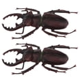 thumbnail image 1 of 2 Piezas De Modelo De De Para Niños 'broma Juguete Biología Ciencia, 1 of 8