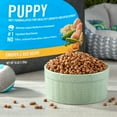 thumbnail image 2 of Pure Balance Pro+ Puppy Chicken & Rice Recipe Dry Dog Food for Puppies, 16 lbs, 2 of 8