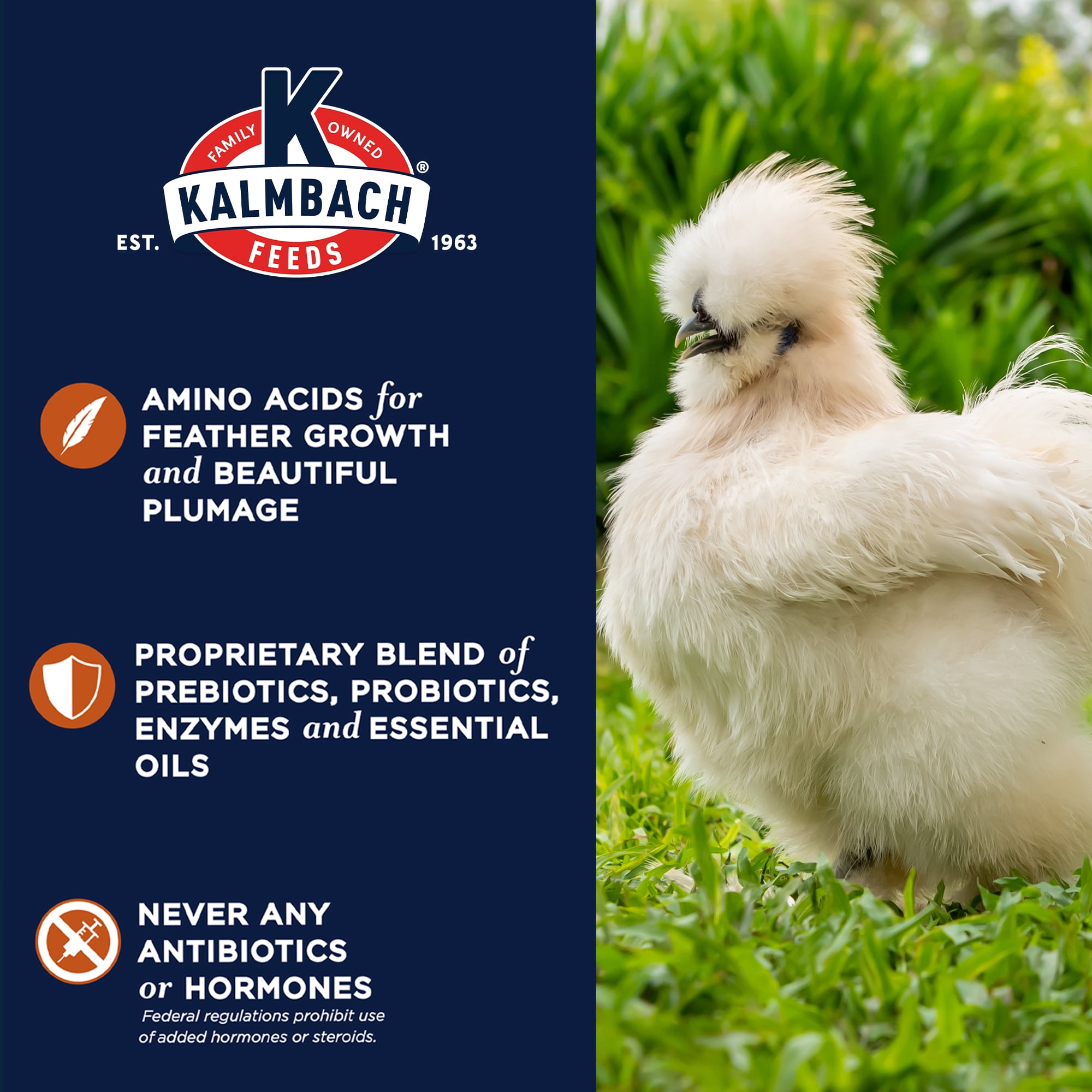 (4 pack) Kalmbach Feeds 20% Full Plume Feathering Feed Mini-Pellets for Poultry, 50 lb bag