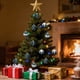 thumbnail image 5 of Adornos de Árbol de Navidad Fechado de terciopelo | Adornos colgantes de plástico elegante de terciopelo marrón con textura flocada | Pack de 12 | Decoración navideña de invierno de 2,4 pulgadas de, 5 of 5