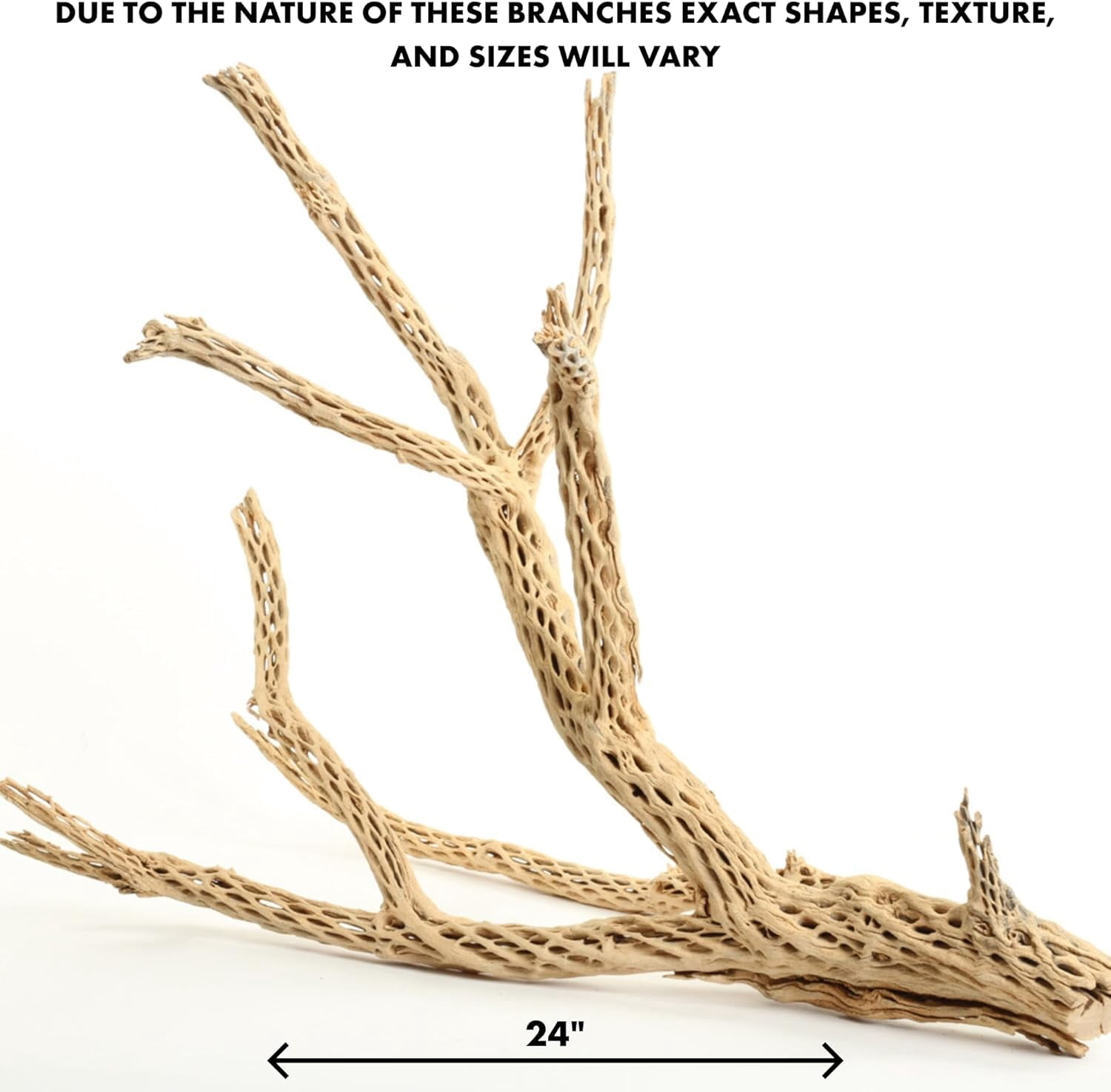 Koyal Wholesale 24" Cholla Wood Aquarium Driftwood for Gecko, Hermit Crab & Shrimp