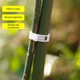 thumbnail image 4 of OIUR 100/200/300 Pcs Plant Clips Plastic Plant Support Clips Reusable Tomato Trellis Clips for Climbing Plants Vines Cucumbers Indoor Outdoor Use, 4 of 7
